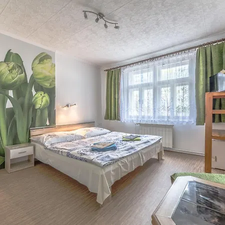 Guest house Pokorny 3*